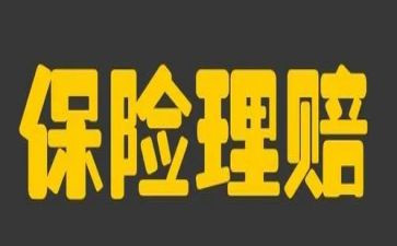 保险工作总结模板5篇