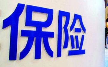 领导保险讲话稿7篇