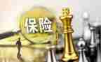 保险业务年终总结6篇