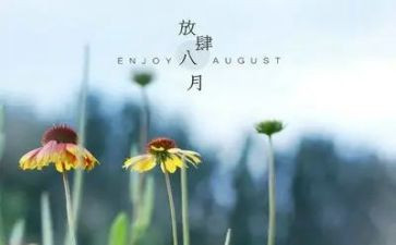 八月份工作计划7篇