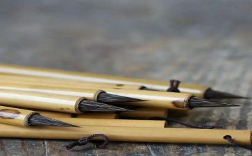 教学随笔作文5篇