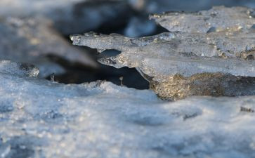 冰与雪主题教案最新8篇
