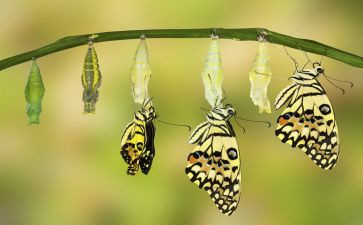 不一样的61作文优秀5篇