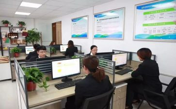 村支部员的述职报告模板6篇