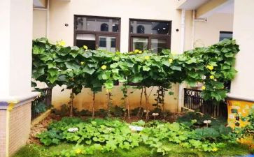 腌泡菜作文5篇