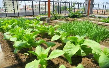 赣菜宣传活动总结最新6篇