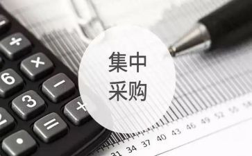 2024采购年终工作总结与计划6篇