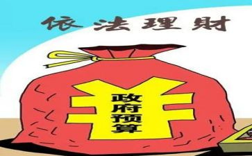 财政局半年工作总结7篇