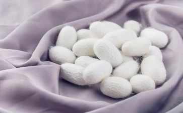 蚕茧收购合同7篇