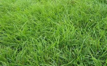 烟草2024年个人总结工作总结优秀6篇
