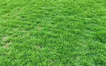 草房子的读后感5篇