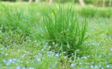 烟草2024年工作总结通用7篇