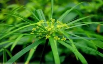 烟草个人总结7篇