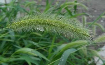 烟草个人总结优质5篇