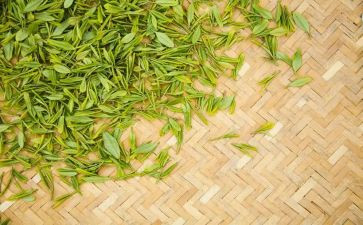 幼儿园关于茶的教案通用6篇