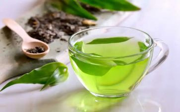 茶的心得体会1000字参考8篇