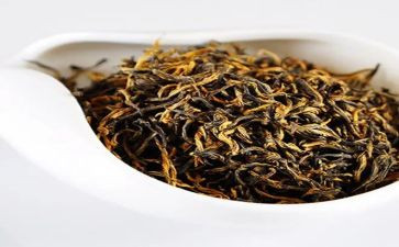 茶主题教案通用5篇