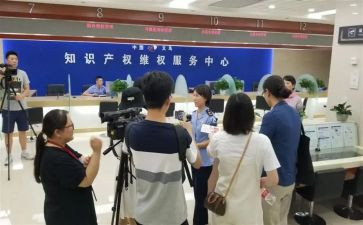 产权科工作总结5篇