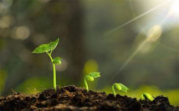 我在成长400字作文优秀8篇