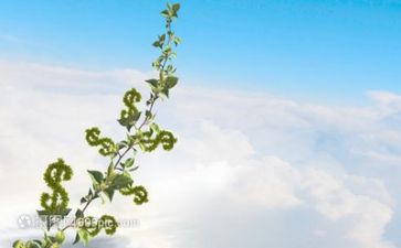 感悟成长类作文推荐6篇