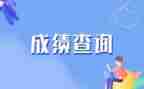没成绩工作总结8篇