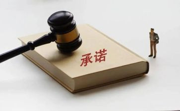我的承诺800字作文5篇