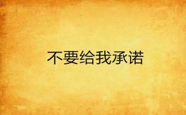 安全责任事故承诺书5篇