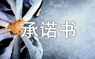 缴纳税收承诺书6篇