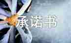 供电承诺书8篇