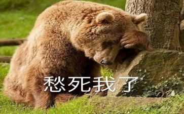 忧愁与快乐作文7篇