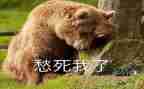 愁的滋味作文5篇