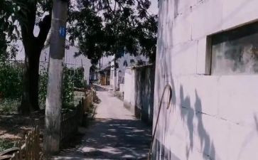 闯祸作文300字8篇