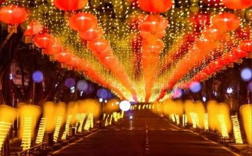 买橘子闯了祸读后感6篇