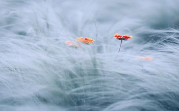 触动心灵的一幕作文8篇