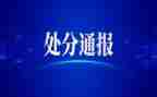 撤销处分单申请书8篇