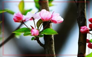春游活动策划方案范文8篇