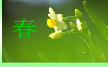 春天教案推荐7篇