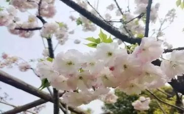 青春期健康教育心得体会7篇