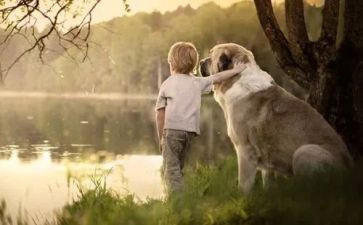 纯真的爱作文8篇