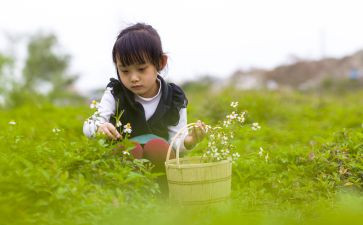 纯真的心作文精选5篇