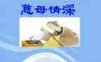 五上慈母情深读后感6篇