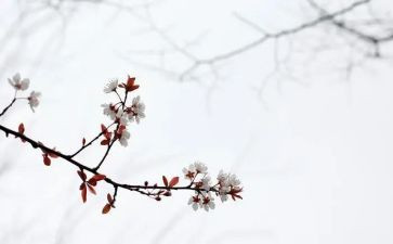 《匆匆》读后感5篇