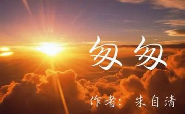 匆匆100读后感6篇