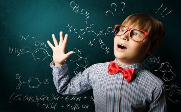 《聪明的小鸡》教案8篇