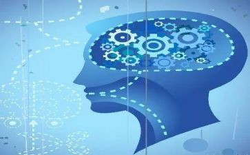 大班聪明的乌龟教案通用5篇