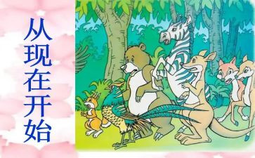 《从现在开始》教案优秀5篇