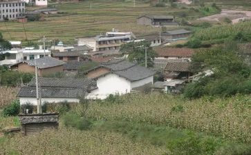 村干部2024年个人述职报告最新8篇
