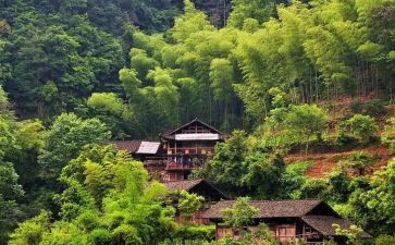 农村2024年工作总结7篇