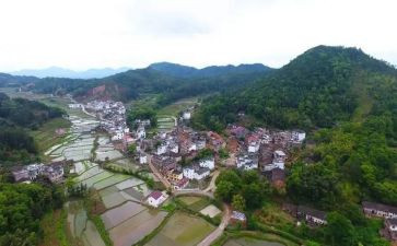 村安全生产工作报告参考6篇