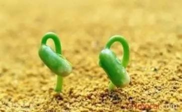 我挫折的作文通用7篇
